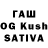 Галлюциногенные грибы MAGIC MUSHROOMS Rahul Lanjewar