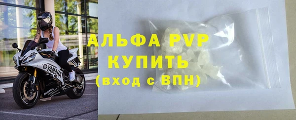 стаф Абаза